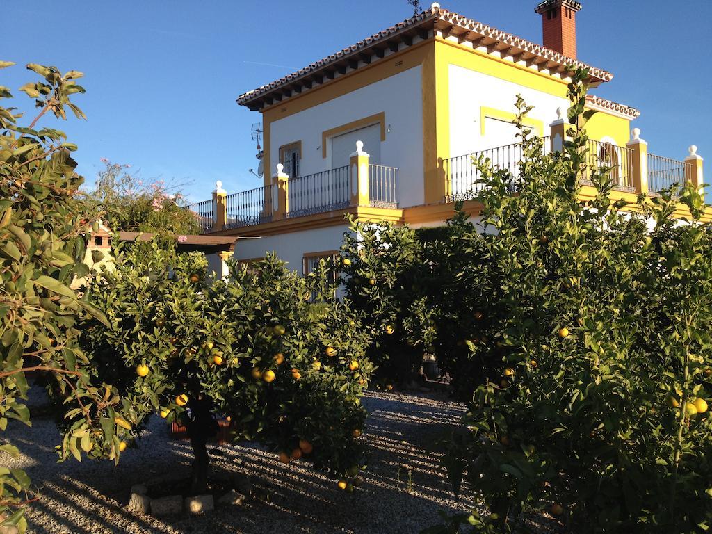 Bed and Breakfast Alojamiento Colina Del Sol à Torrox Extérieur photo